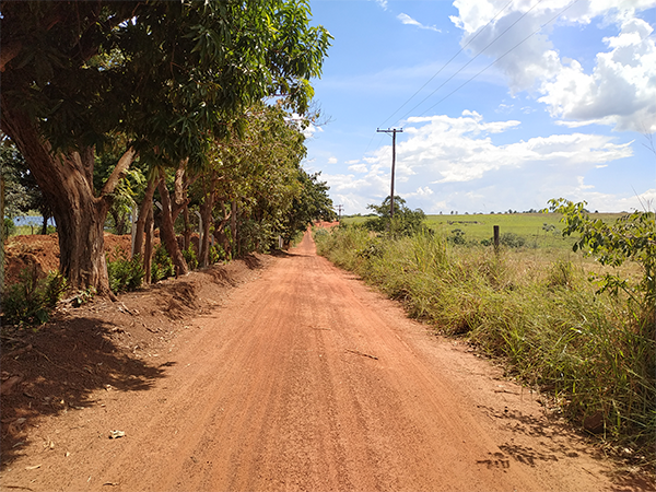 Alameda das Andorinhas | Três Fronteiras - SP